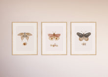Load image into Gallery viewer, Vintage butterflies
